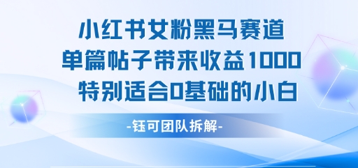 小红书女粉黑马赛道单篇帖子带来收益1k+,特别适合0基础的小白插图 小红书女粉黑马赛道单篇帖子带来收益1k+,特别适合0基础的小白