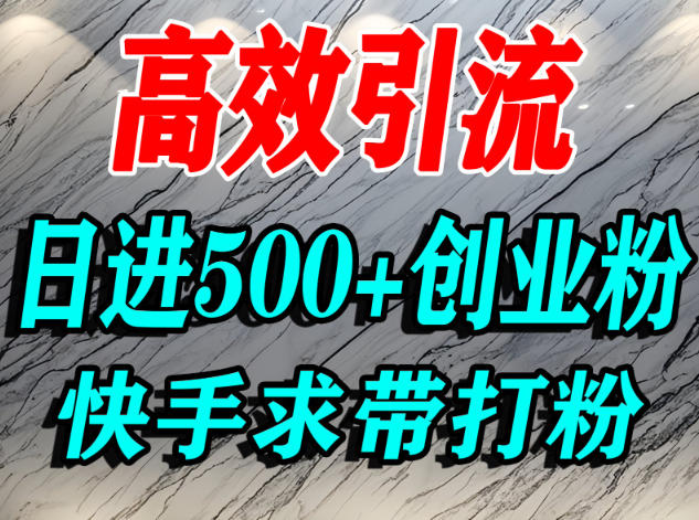 怎么打创业粉?快手求带视角精准引流创业粉,宝妈、学生群体日进500+精准流量