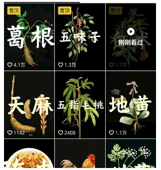 抖音中草药赛道,用AI做中草药故事视频,45条作品涨粉13W,橱窗带货猛猛出单插图1 抖音中草药赛道,用AI做中草药故事视频,45条作品涨粉13W,橱窗带货猛猛出单